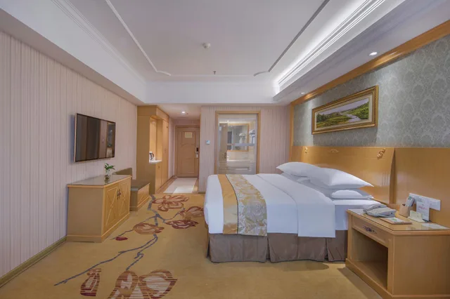 Vienne Hotel (Nanning Qingxiu Mountain), Nanning 20/33