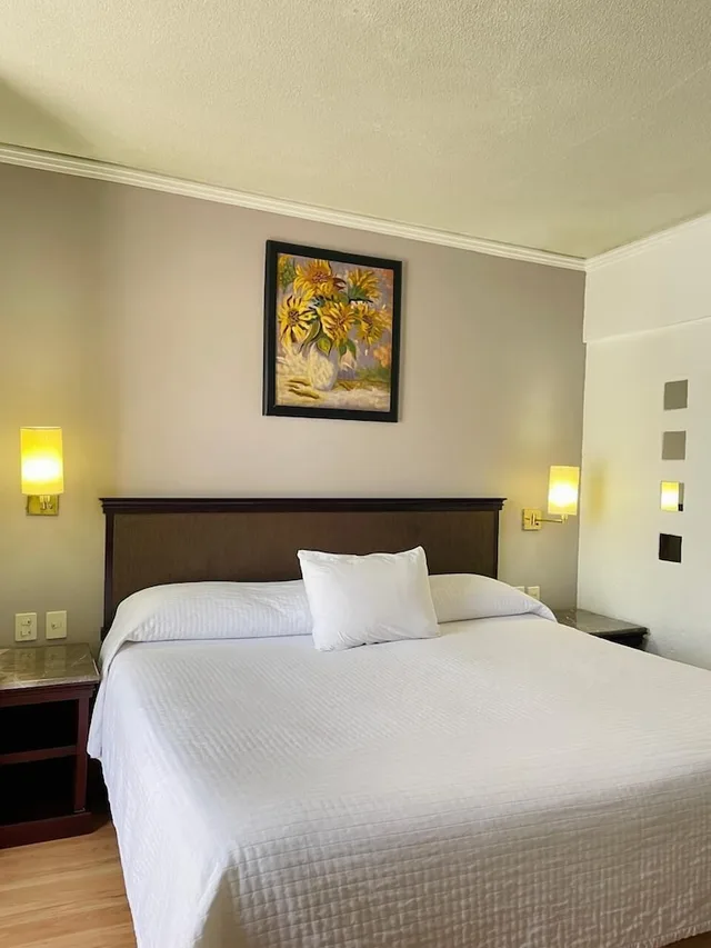 غرفة تقليدية بسرير كينج، Hotel Arroyo de la Plata Zacatecas 3/8