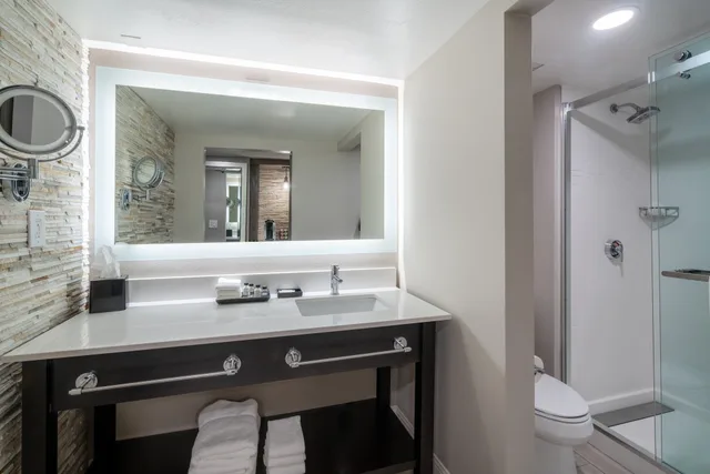 غرفة بريميوم بسرير كينج بإطلالة على البحيرة بحوض استحمام لذوي الإعاقة، Crowne Plaza Atlanta SW Peachtree City 5/5