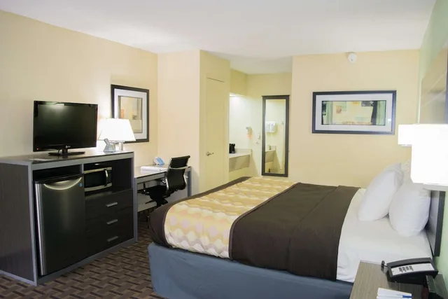 غرفة قياسية بسرير كينج يُسمح فيها بالحيوانات الأليفة، Best Western Coachlight 4/4