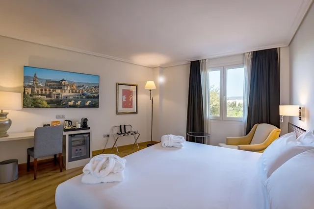 غرفة سوبيريور بسريرين منفصلين بإطلالة على المدينة، Hesperia Cordoba 2/10