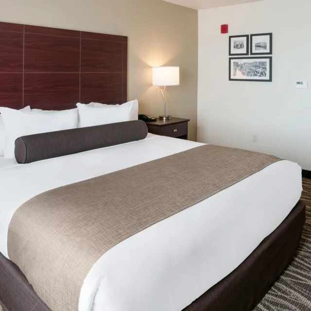 غرفة بسرير كينج لذوي الإعاقة، Cobblestone Hotel & Suites - Appleton International Airport 4/8