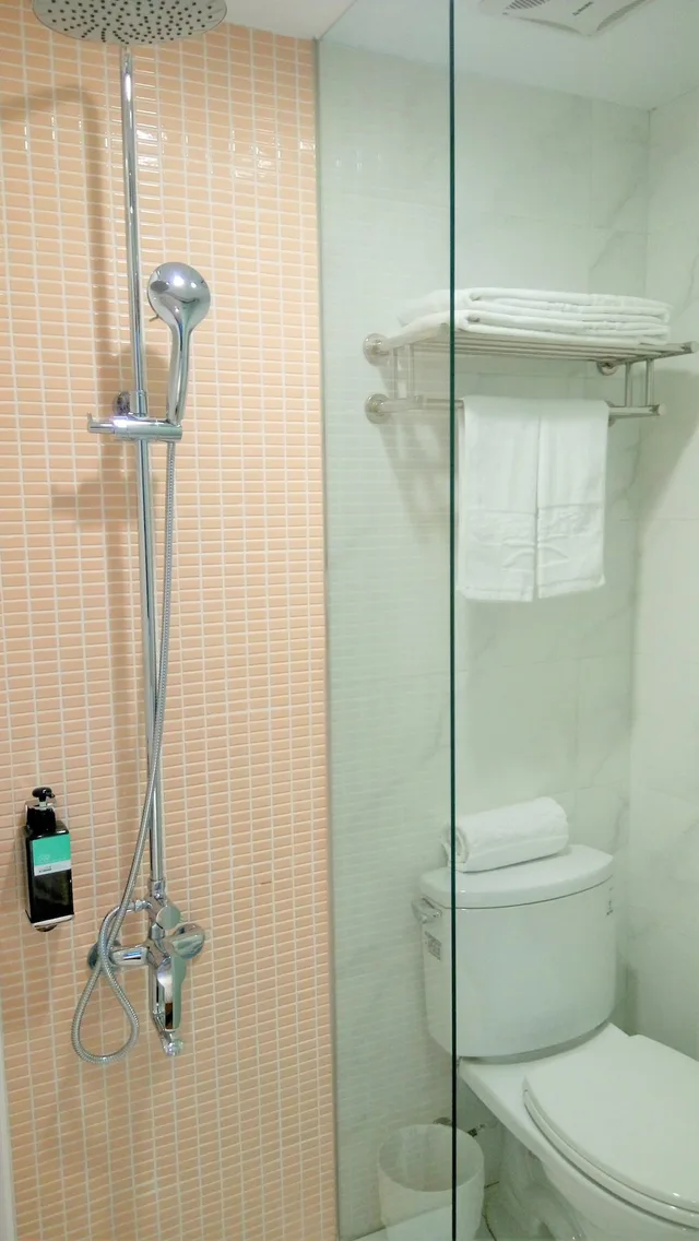غرفة ديلوكس بسرير كينج، Ssbhotel-Shin Sei Bashi 3/3