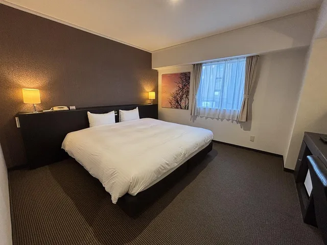 غرفة ديلوكس بسرير مزدوج، Hotel Royal Stay Sapporo 2/2