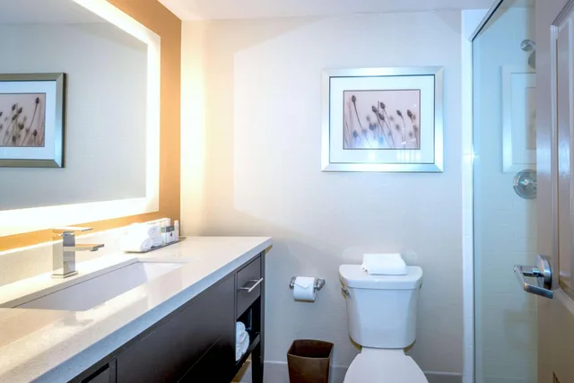 جناح جونيور بسرير كينج مع أريكة لذوي الإعاقة، Doubletree By Hilton Hotel Montgomery Downtown 4/4