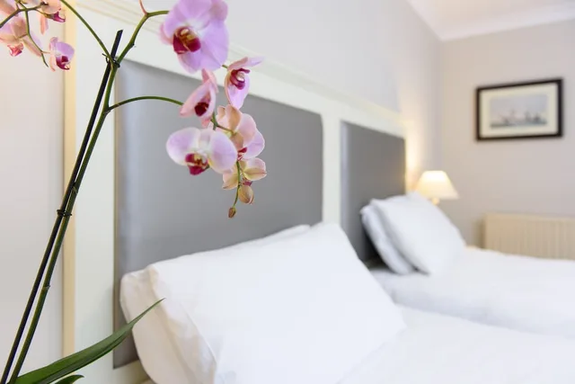غرفة مفردة بسرير مزدوج، Dooleys Hotel Waterford City 4/5