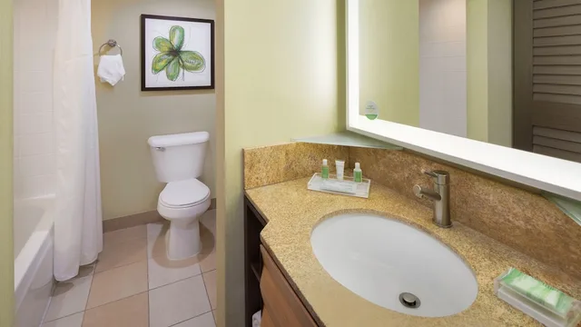 غرفة قياسية بسرير كينج، HOLIDAY INN SAN JOSE - SILICON VALLEY 4/8