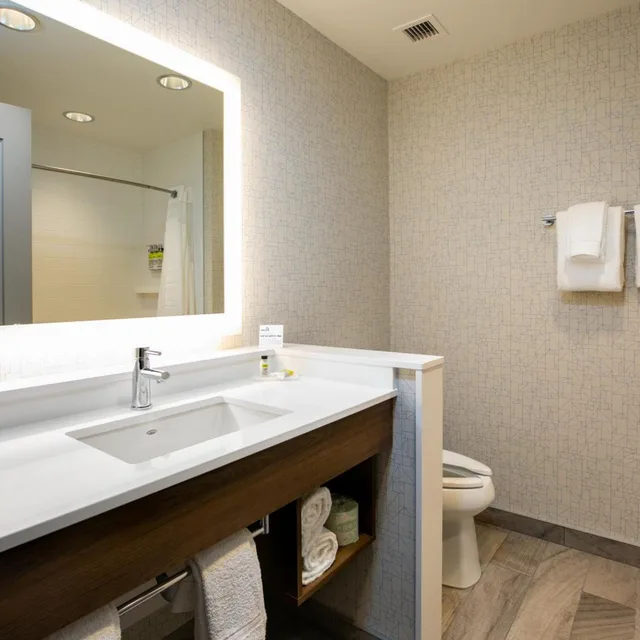 غرفة قياسية بسرير كينج، Holiday Inn Express Lethbridge Southeast 5/6