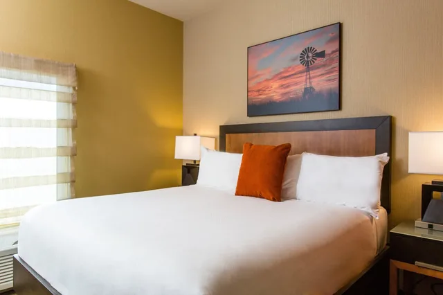 جناح بسرير كينج مع أريكة لذوي الإعاقة، Cambria Hotels Plano Frisco 2/5