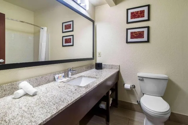 جناح بغرفة نوم واحدة، Comfort Suites Danville KY 5/5