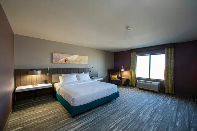 غرفة بسرير كينج بحوض استحمام لذوي الإعاقة، Hilton Garden Inn Rapid City 1/3