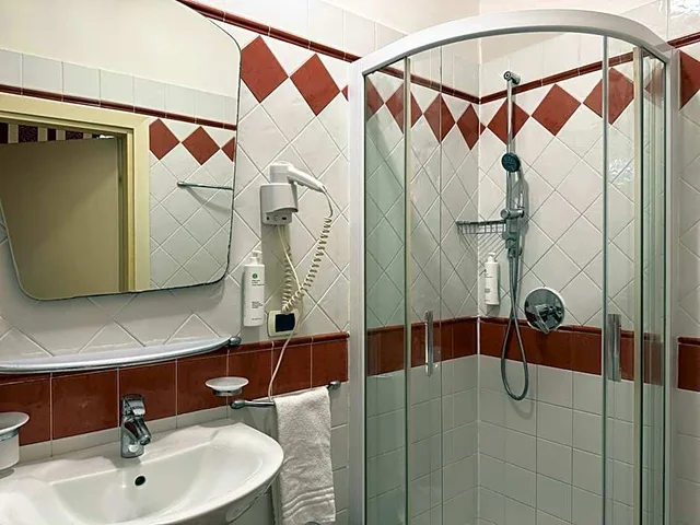 Standard, Double Bed, Hotel Alcyone 4/4