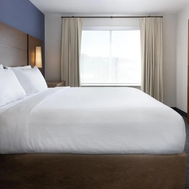 جناح بسرير كينج بغرفة نوم واحدة مع أريكة، Residence Inn Upper Marlboro Joint Base Andrews 2/7