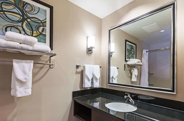 غرفة قياسية بسريرين كوين، Hilton Garden Inn The Colony Dallas 4/4