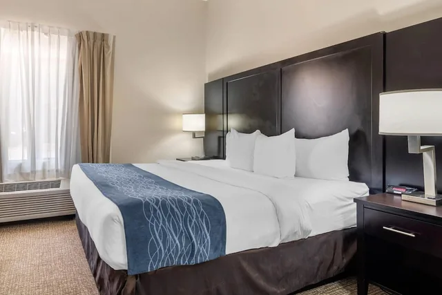 جناح بسرير كينج لذوي الإعاقة، Comfort Inn & Suites Atlanta/Smyrna 2/7