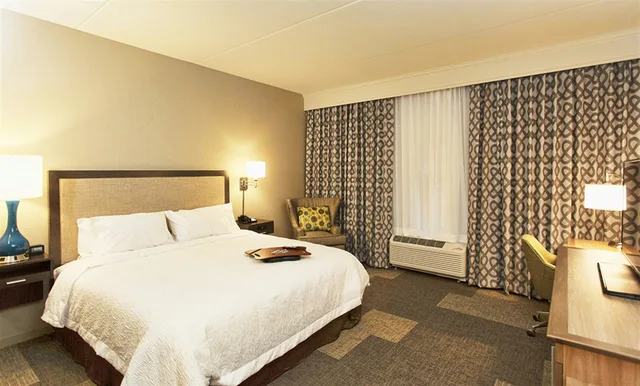 غرفة بسرير كينج لذوي الإعاقة، Hampton Inn Hibbing 1/2