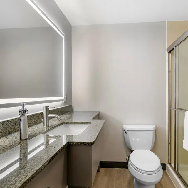 Deluxe, Suite, King Bed, Holiday Inn Express & Suites Clemson - Univ Area 4/4