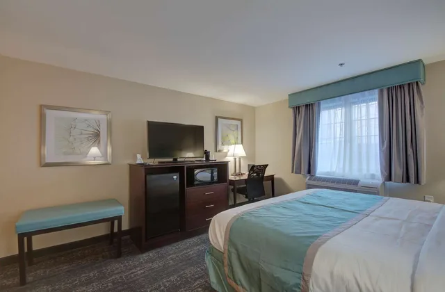 غرفة بسرير كينج لذوي الإعاقة، Best Western Hampshire Inn And Suites Seabrook 3/4