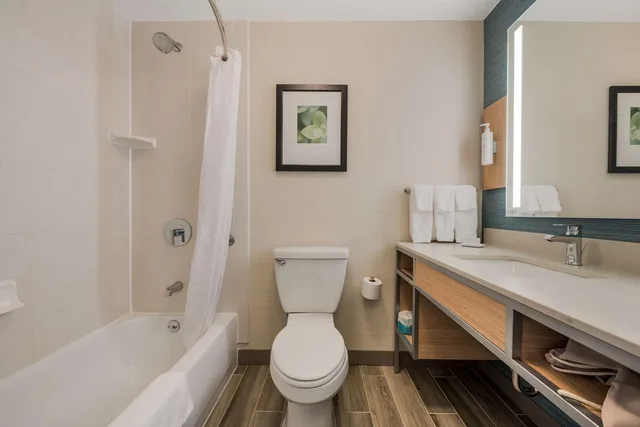 جناح بسرير كينج بغرفة نوم واحدة مع أريكة، Hilton Garden Inn Rockford 2/4