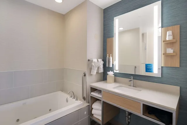 1 Bedroom, Suite, King Bed, Sofa, Jetted Tub, Hilton Garden Inn Madison West Middleton 3/5