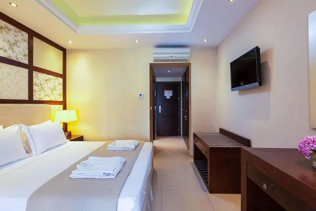غرفة قياسية بسريرين منفصلين مع أريكة، Theartemis Palace 1/10