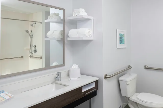 Room, King Bed, Accessible, Hampton Inn Dunedin Fl 3/3