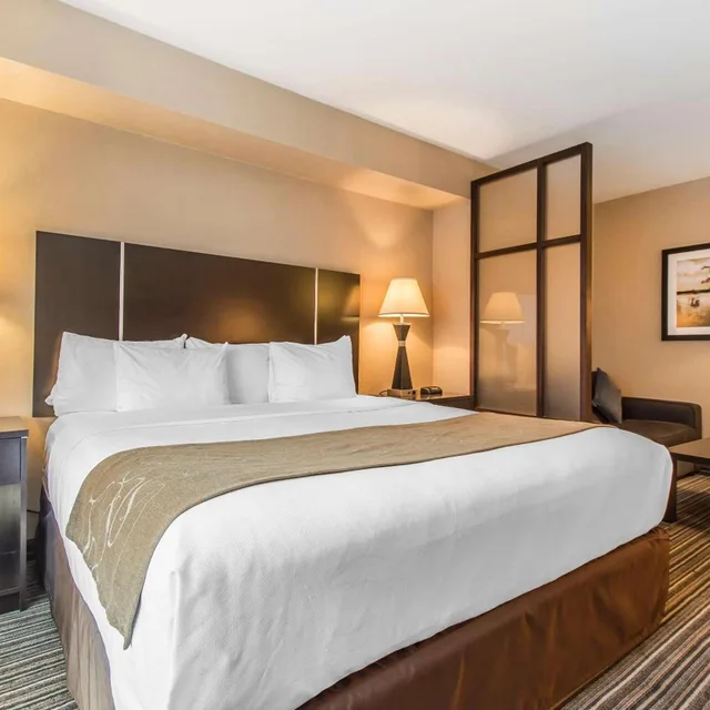 غرفة بسرير كينج مع أريكة، Comfort Suites Downtown Montreal 1/8
