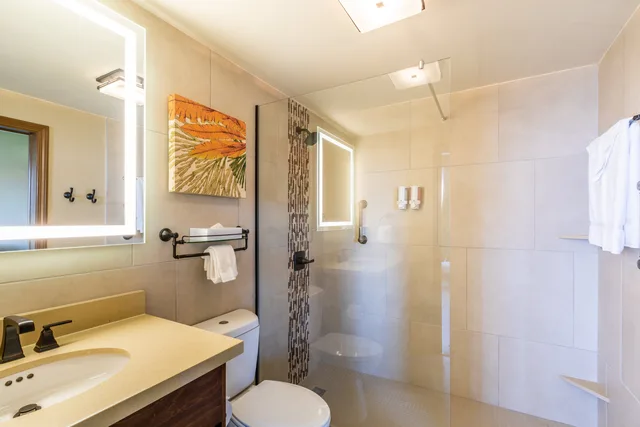 غرفة بريميوم بسرير مزدوج بغرفة نوم واحدة، Eagle Aruba Resort 2/2