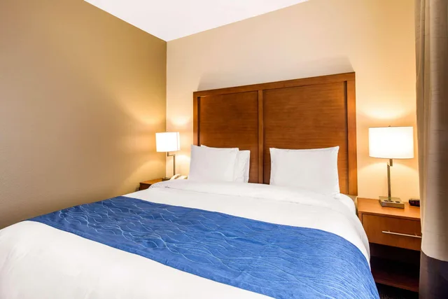 جناح بسرير كينج، Comfort Suites Humble Bush Intercontinental Airport 2/5