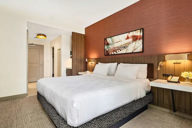 Deluxe, King Bed, Hilton Garden Inn New Orleans French Quarter/CBD 1/5