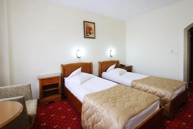 Room, Twin Beds, Palace View، Hotel Moldova 8/10