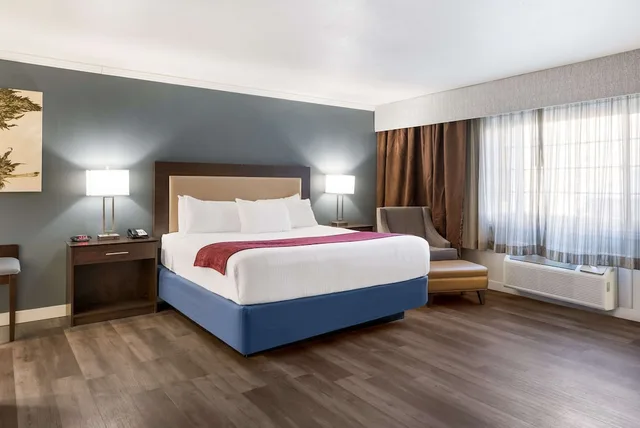 غرفة قياسية بسرير كينج لذوي الإعاقة، Best Western Mountain View Inn 1/3