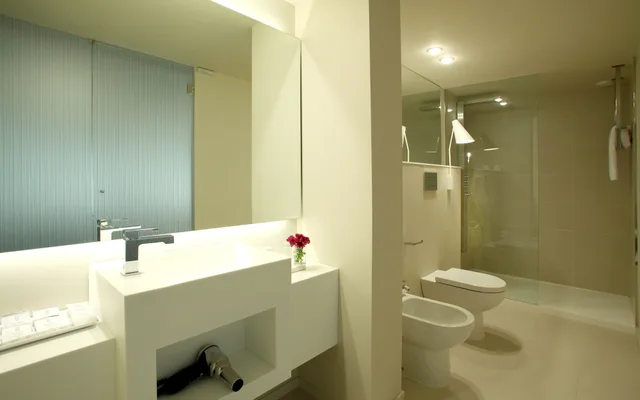 Exterior, Deluxe, Twin Beds, Park Hotel Barcelona 2/2