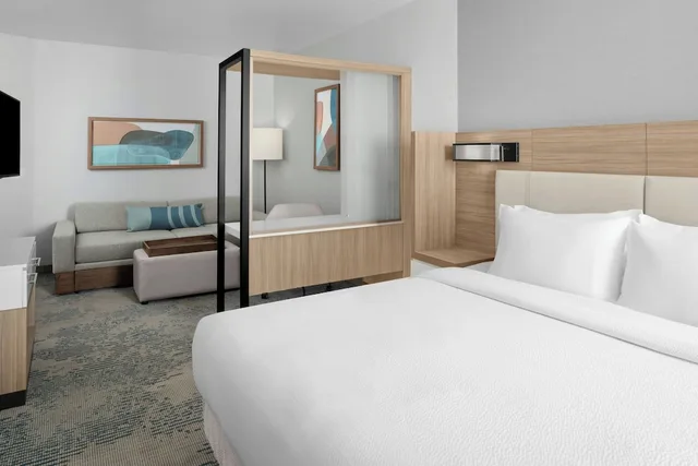 جناح بسرير كينج مع أريكة لذوي الإعاقة، SPRINGHILL SUITES IDAHO FALLS 3/9