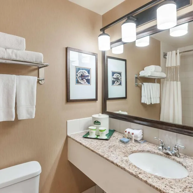 غرفة بسرير كينج وسرير كوين لذوي الإعاقة، Wingate by Wyndham Edmonton West 6/8