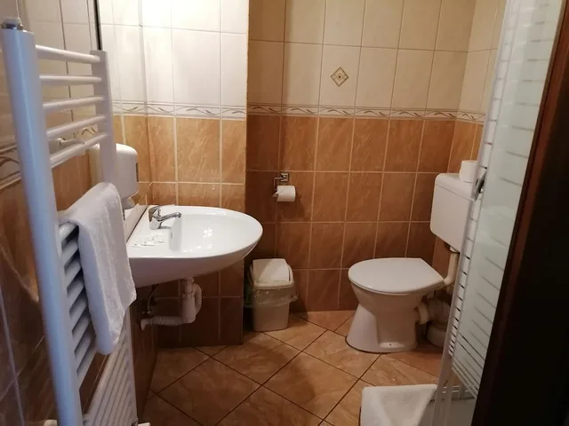 غرفة كلاسيكية بسرير مزدوج، Hotel Ferihegy 3/3
