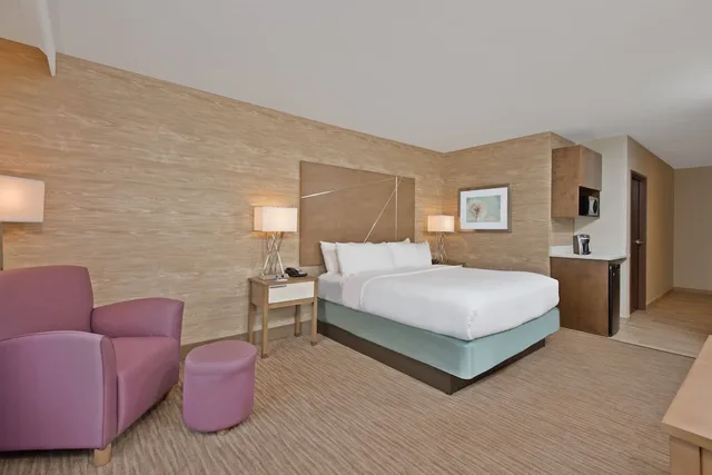 غرفة قياسية بسرير كينج، Holiday Inn Express & Suites Harrisburg S - New Cumberland 7/7
