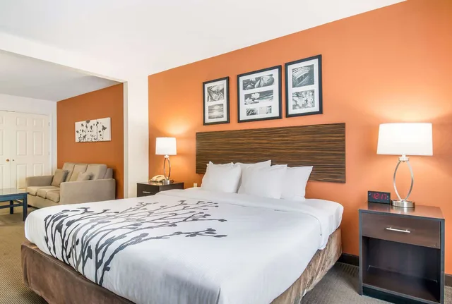 غرفة بسرير كينج لذوي الإعاقة، Sleep Inn & Suites Ronks - Lancaster Area 1/3