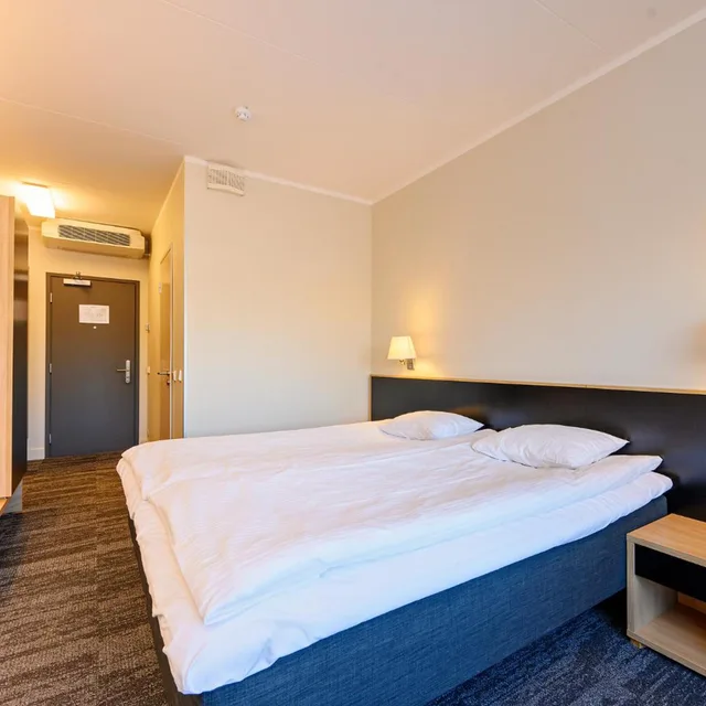 غرفة سوبيريور بسرير مزدوج، Dorpat Hotel 4/8