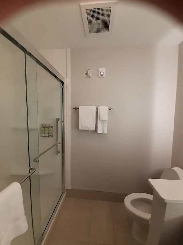 Standard, King Bed, Extra Floor Space، Holiday Inn Express and Suites Richburg 2/2