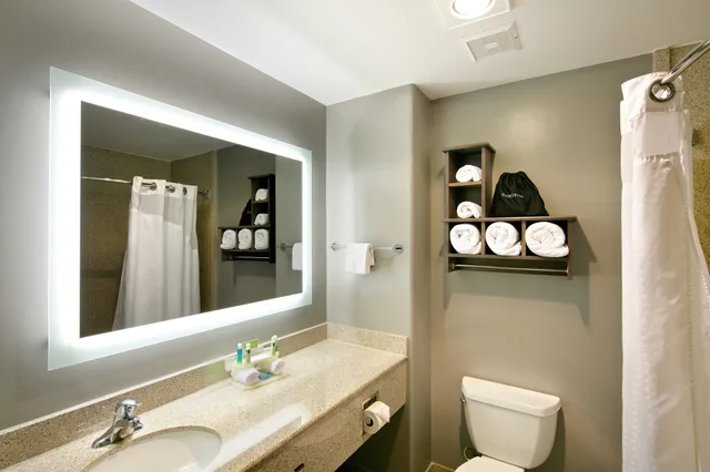 غرفة قياسية بسرير كينج مع أريكة، Holiday Inn Express Hotel And Suites Paso Robles 7/8