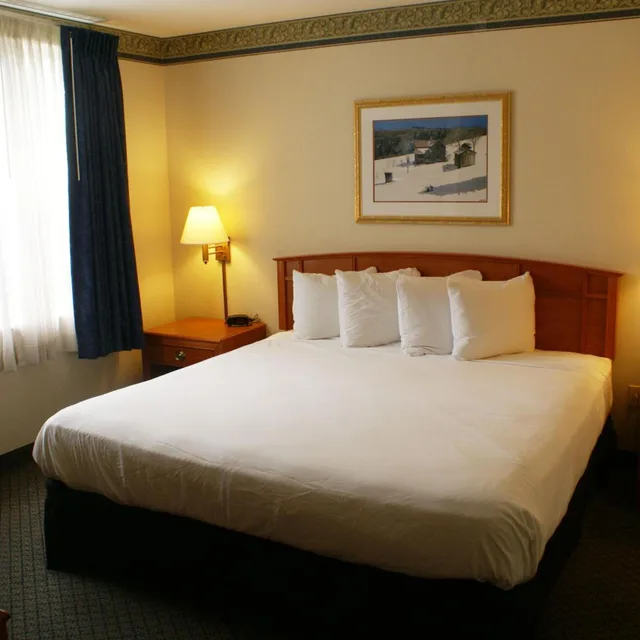استوديو بسرير كينج مع أريكة، Country Inn & Suites By Radisson Lansing MI 2/5