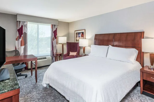 Evolution, King Bed، Hilton Garden Inn Blacksburg University 2/3