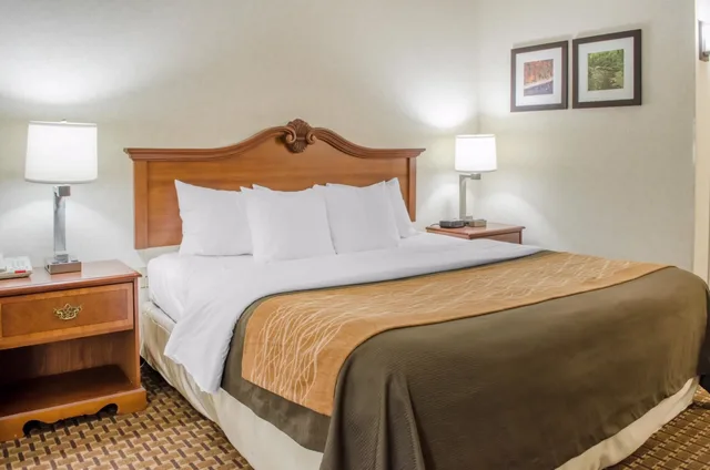 غرفة قياسية بسرير كينج مع أريكة، Comfort Inn West Hazleton 4/6