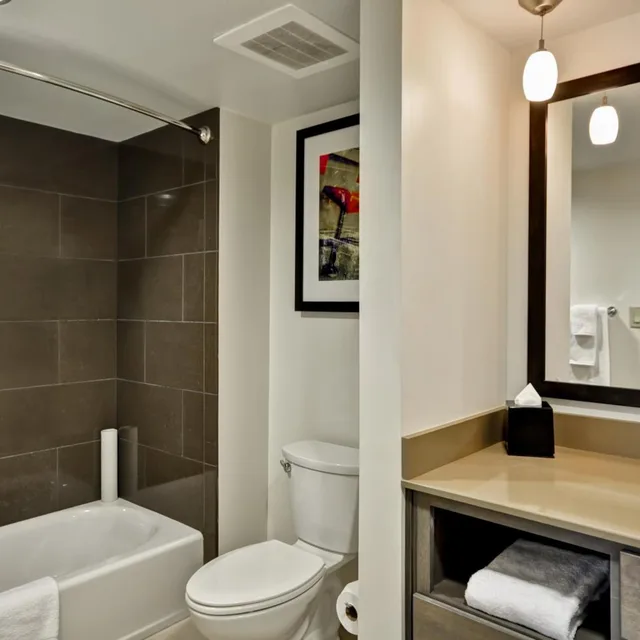 جناح استوديو بسرير كينج لذوي الإعاقة، Hyatt House Atlanta Cobb Galleria 3/3