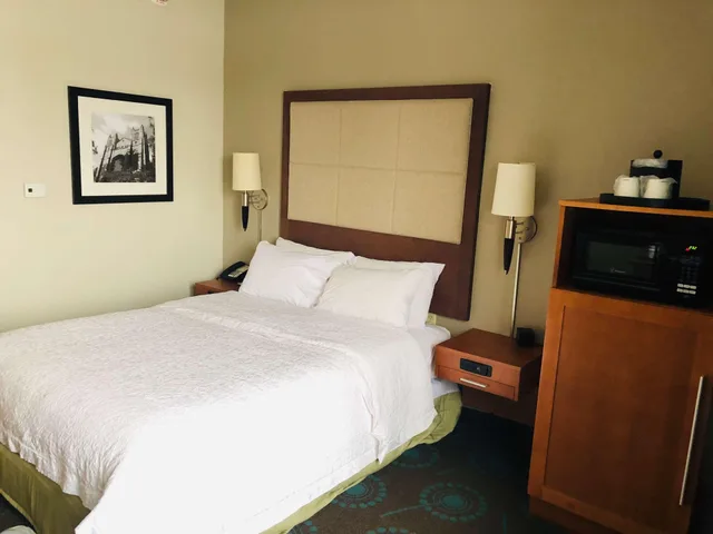 غرفة بسرير كوين لذوي الإعاقة، Larkspur Landing Hotel Ann Arbor 1/3