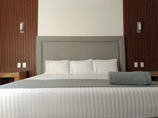 غرفة قياسية بسرير كينج، Hotel Zar Guadalajara 2/10