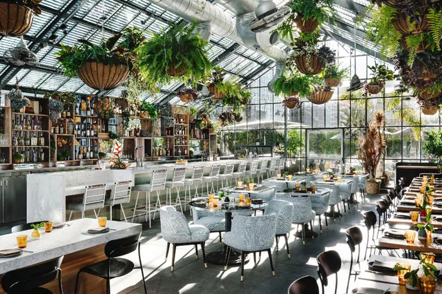 جناح بسرير مزدوج أو سريرين منفصلين، The Line Hotel 1/1