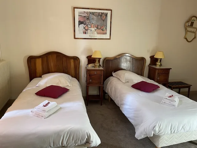 غرفة سوبيريور بسريرين منفصلين، Hotel Continental 8/10