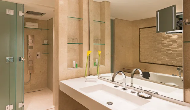 غرفة ديلوكس مفردة، Le Meridien Dubai Hotel and Conference Centre 4/4